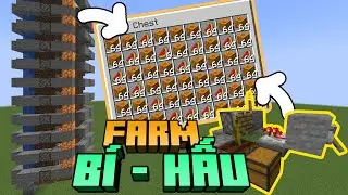 Cách Làm Farm Bí Ngô/Dưa Hấu Trong Minecraft
