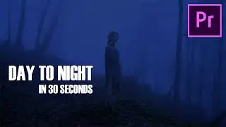 Turn DAY Into NIGHT In 30 Seconds | Adobe Premiere pro ( in Hindi )