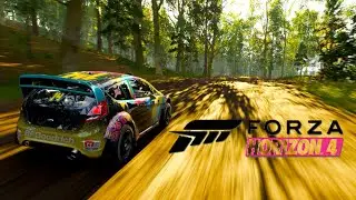Driving the FORD FIESTA | Forza Horizon 4