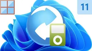 Any Video Converter Install on Windows 11