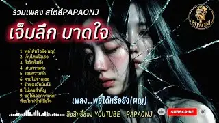 รวมเพลงรัก เจ็บลึก บาดใจ สไตล์ PAPAONJ