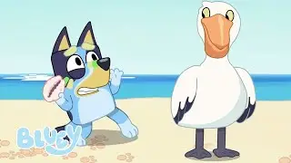 Het Strand | Volledige Aflevering | Bluey - Officieel Nederlands kanaal