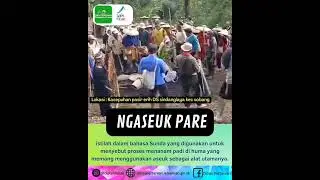 Menanam Padi di Darat