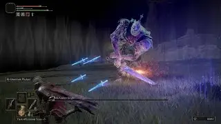 Elden Ring - Bols, Carian Knight - Cuckoo's Evergaol