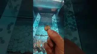 Wad of Money Locked in a Coin Pusher 