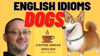 English Idioms-Dogs