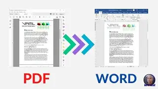 PDF to MS Word FIle Conversion - Sample work