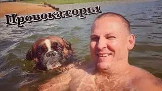 Провокаторы снова в деле / Рыжий Озабоченный пёс