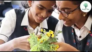 🌸 Petals to Pistils: Unfolding the Magic of Flowers! 🔬✨