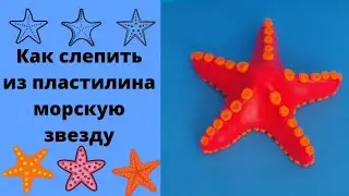 Лепим из пластилина морскую звезду.