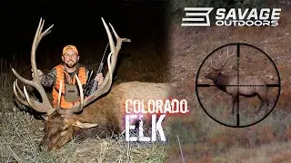 ELK Hunting COLORADO | Part 2