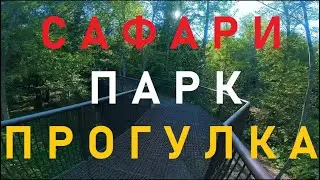 Мини-дальняк на мотоцикле с женой в Сафари парк в Подмосковье.