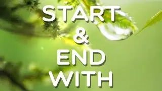 Start & end with the same letter, Level 68, Word Crush Answers.