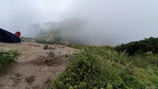 Dense Fog | Hill Top | 12000 feet | Churdhar | Chopal | Himachal | Himalayas | #CalmPeace
