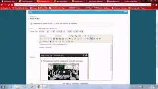 Blogging on the Twinspace