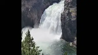 Yellowstone