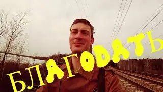 VLOG: ВЕСЕННЯЯ БЛАГОДАТЬ В ЛЕНОБЛАСТИ