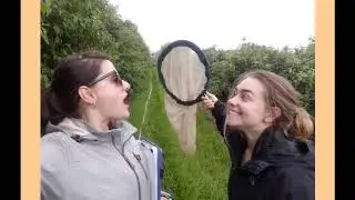 Field work adventures with PoshBee