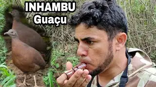 YAMBU
