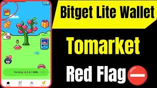 Tomarket Red Flag Problem | Tomarke -এ লাল পতাকা কেন ? | Bitget Wallet Lite in Telegram for 1M |