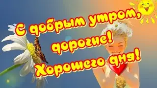 С Добрым Утром🥰Значит, я думаю о Тебе, когда просыпаюсь 🎶Музыкальная открытка