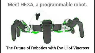 E29 - The Future of Robotics Development with Eva Li of Vincross