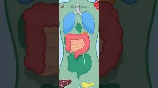 Funny Moments asmr