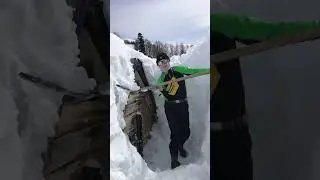 3 марта 2024 г.
