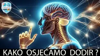 Kako Osjećamo Dodir Dr# 124
