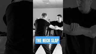 WING CHUN NECK SLAP vs BOXER PUNCH
