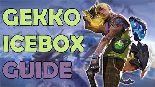 How to play Gekko on Icebox in 2024