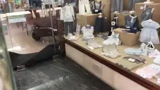 Visita inesperada en Zarautz
