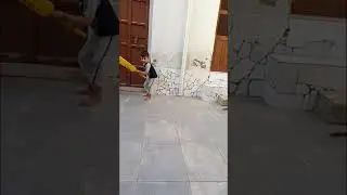 cricket lover