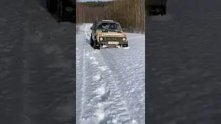 нивас и мартовский снег
