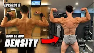 WHAT IS A DENSITY DAY? HOW IT CAN HELP YOU!