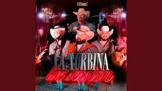Me Estoy Enamorando (En Vivo)