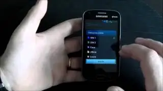 Samsung Galaxy S Duos