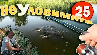 На  риболов за толстолоби.Неуловимите 25.On fishing for bighead carp. The intangible 25.
