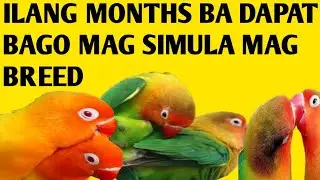 ITU DAPAT PARA MAGANDA