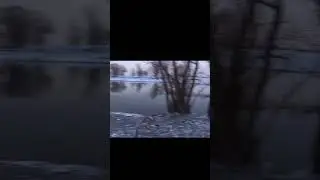 ДВА НЕАДЕКВАТНЫХ ЗАЙЦА И УТКА  !!! 