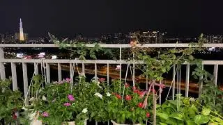 View from my bacony