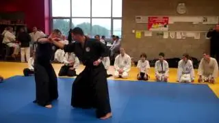 fudofun - aiki jujutsu