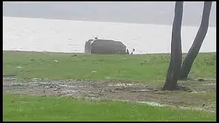 beutiful Nature asmr 🌿🍀🍂🍁🏞️