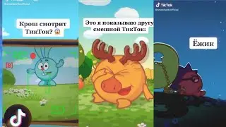 Смешарики в ТИК ТОК|| МЕМЫ СО СМЕШАРИКАМИ ВОШЛИ В ЧАС||