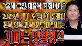 🌟2025년 가장 대박나는 개띠는 몇월생?!🌟 을사년 개띠운세 대박난다!!  X월생,XX월생 기억하세요! 58년생 70년생 82년생 94년생 06년생 개띠 운세