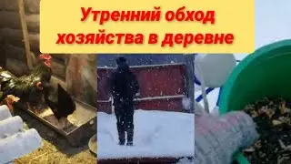 Сын работает а я лентяйка /Иду к курам /Утро в деревне