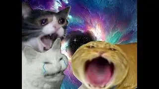 Jackbox Party Pack and Kahoot Stream.