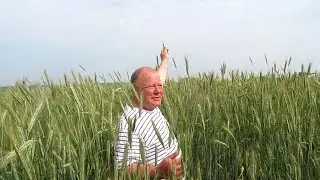 Безпахотное земледелие Анатолия Шугурова