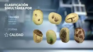 Newtec seleccionadora óptica para patatas según calidad, tamaño y forma