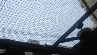Tek Motorlu ve Çift Yönlü Açılan Çatı Uygulaması